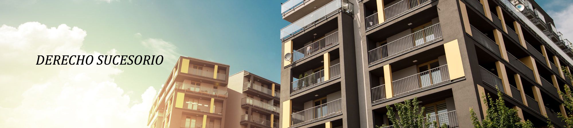 DERECHO SUCESORIO. Dayas Partners en Orihuela DERECHO SUCESORIO. Dayas Partners en Orihuela